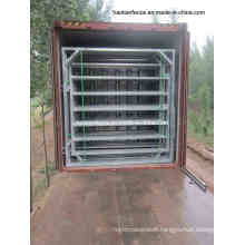 40X40mm Galvanized Cattle Panels